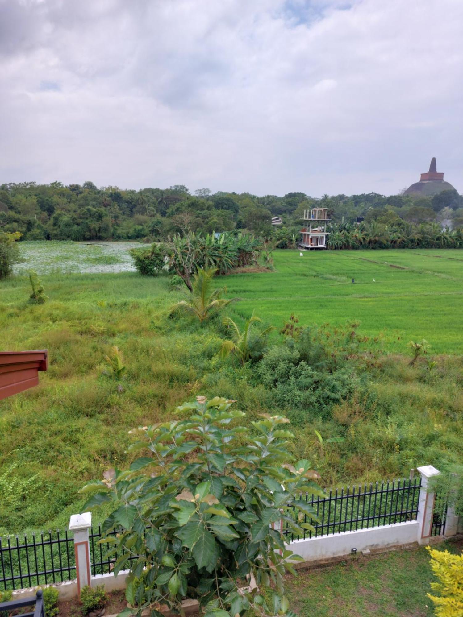 אנוראדפורה Green Shield Resort מראה חיצוני תמונה