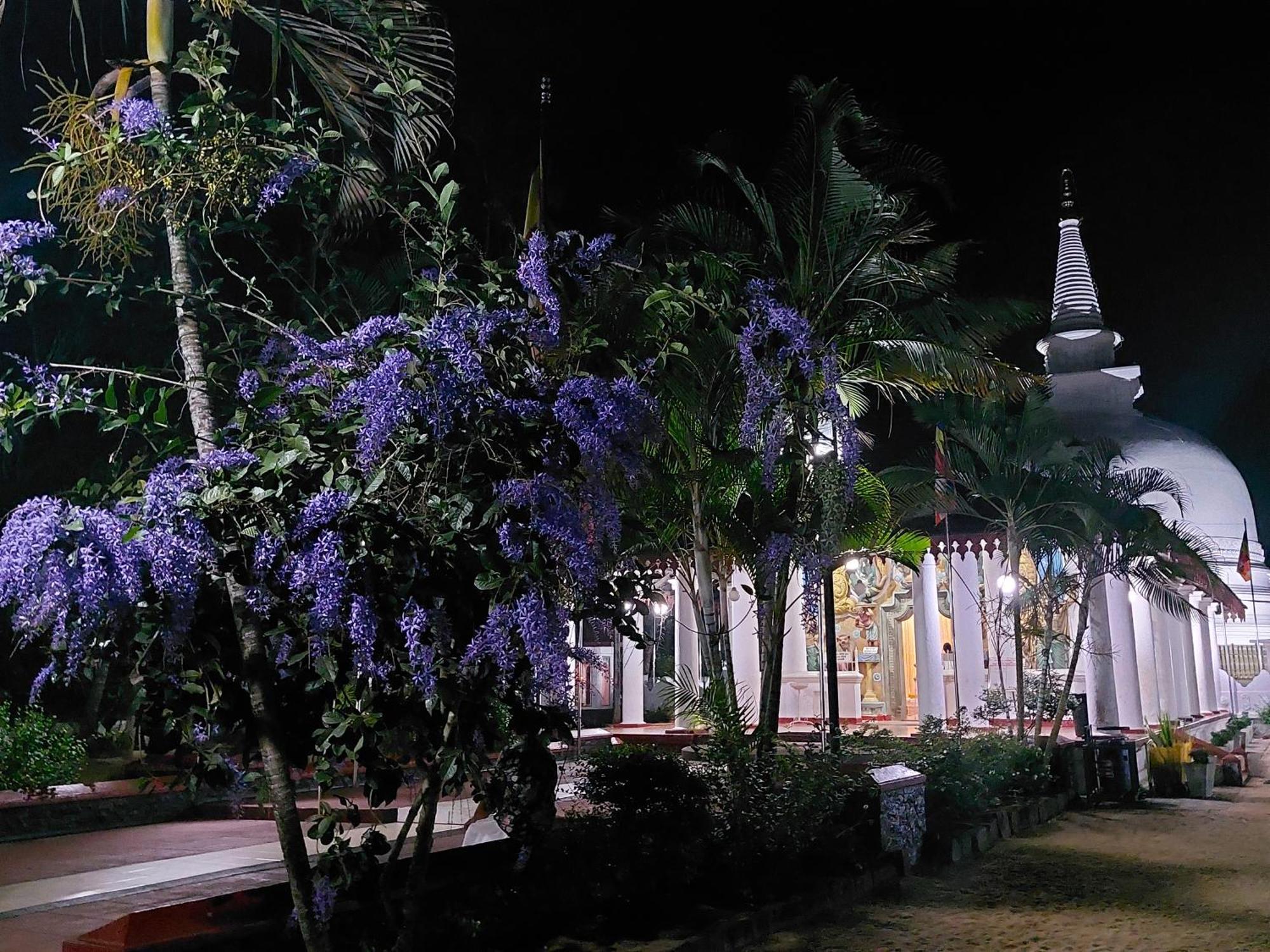 אנוראדפורה Green Shield Resort מראה חיצוני תמונה